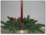 holiday_plant_13